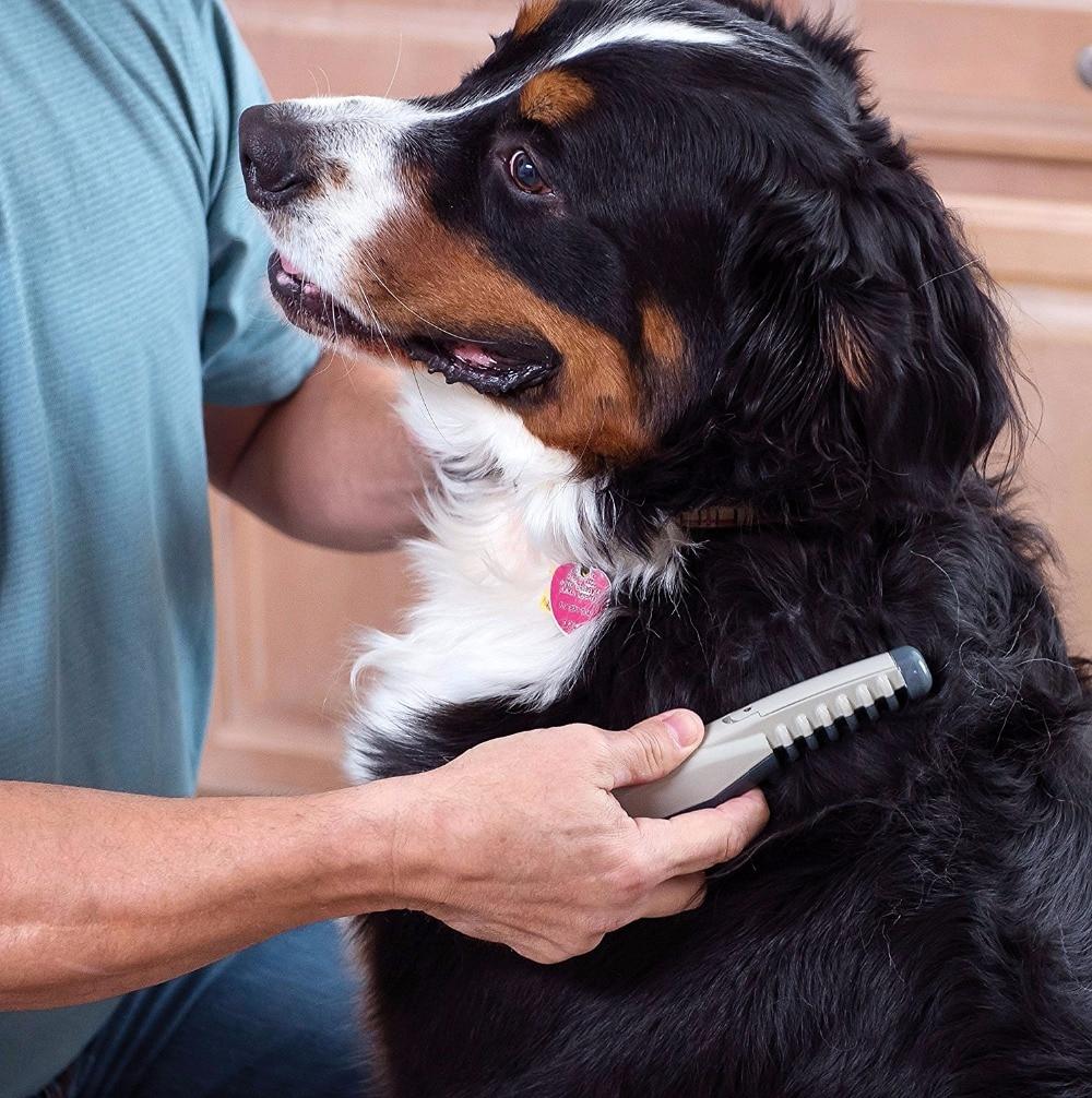 Peigne De Toilettage Electrique Pour Chien Chat