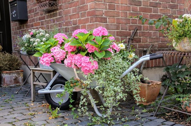 Maison & jardin Maison & jardin
